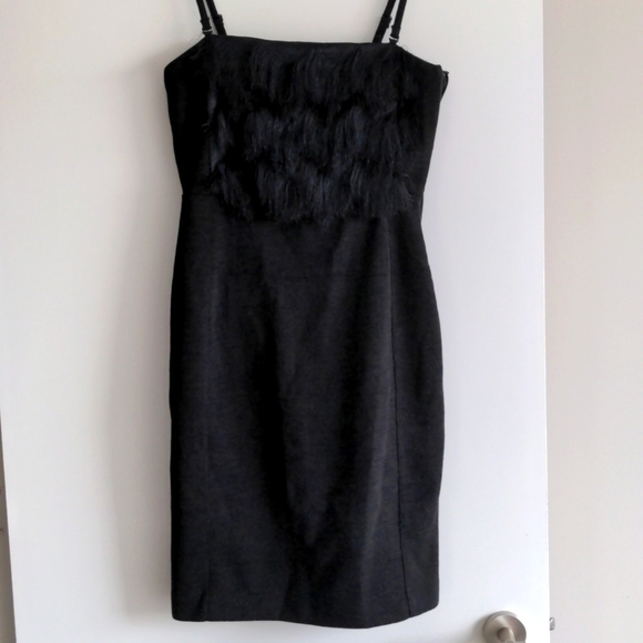 New With Tag Banana Republic Strapless Dress Fringe Flapper US10P - Picture 3 of 6